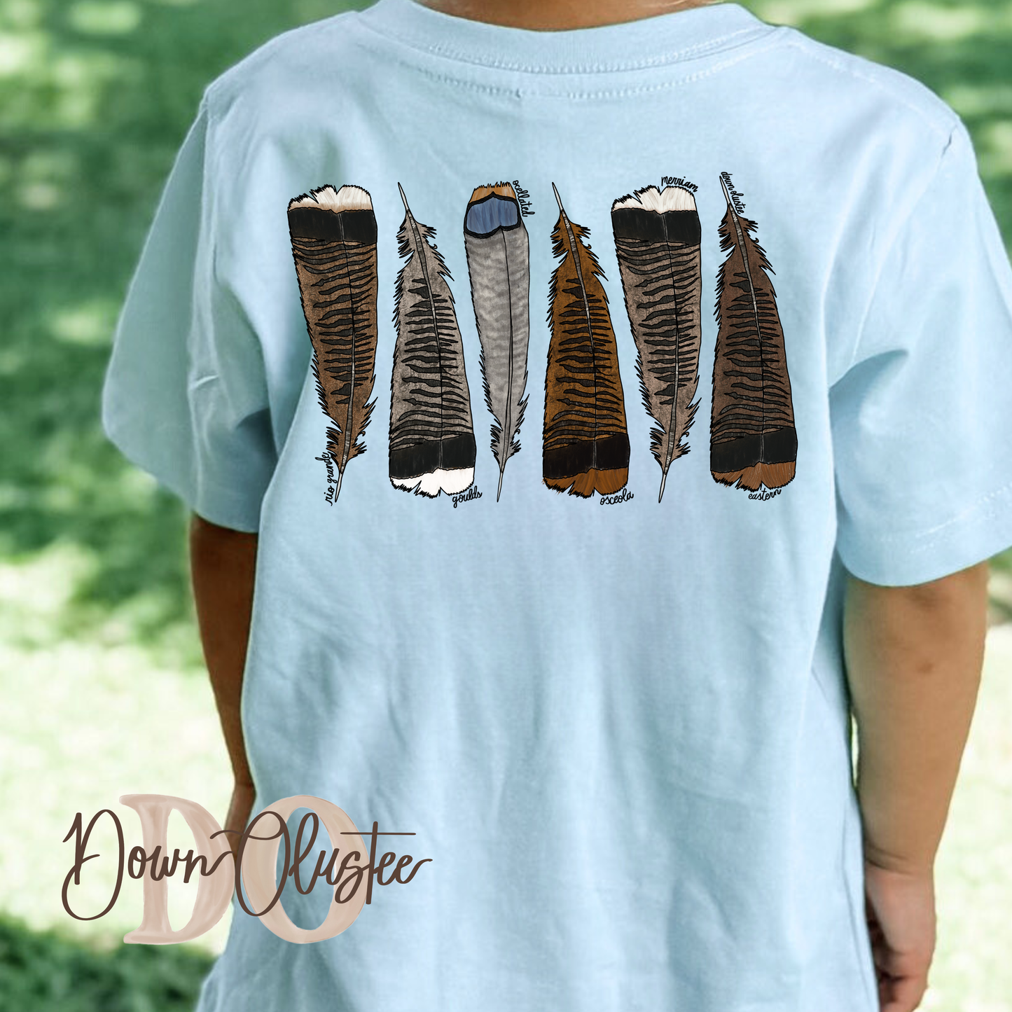 North American Turkeys